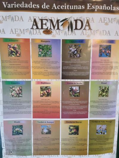 Изненадващи професионални приключения в Испания по Еразъм+ 16